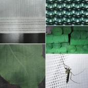 Insect Net/Shade Net/Anti bird net					 					 					 					 					 					 					 					 					 					 					 					 					 					 					 					 