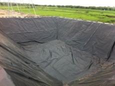 Pond Liner